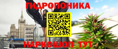 шишки Краснодар