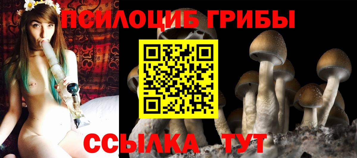 Тавда  Галлюциногенные грибы мицелий  Вход с VPN  Галлюциногенные грибы мухоморы 