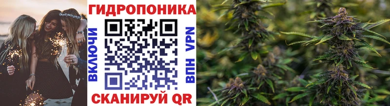 Канабис семена  Тавда 